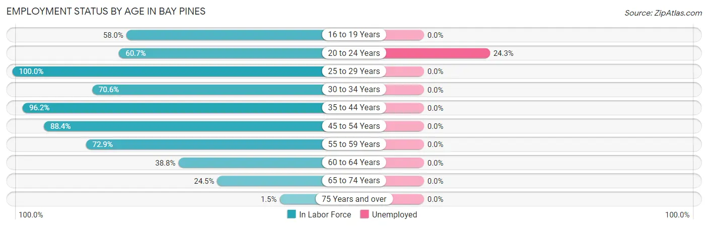 Employment Status by Age in Bay Pines