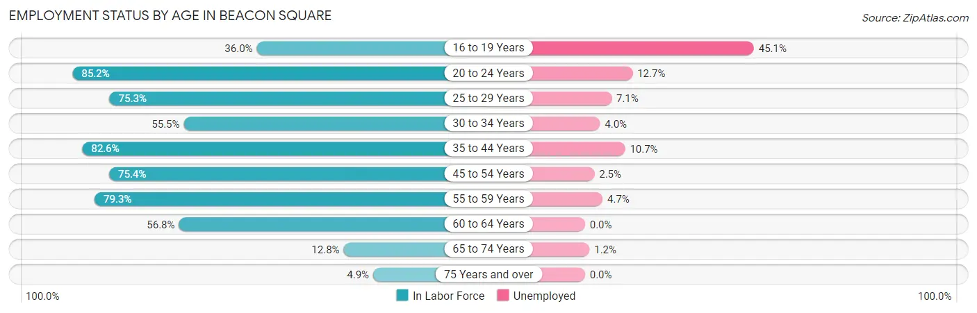 Employment Status by Age in Beacon Square