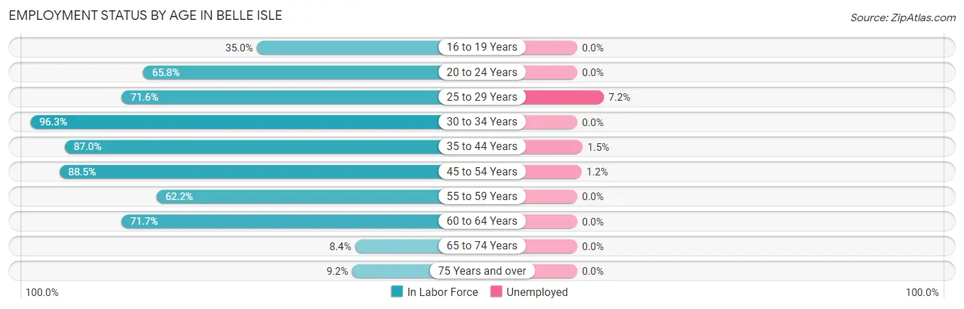 Employment Status by Age in Belle Isle