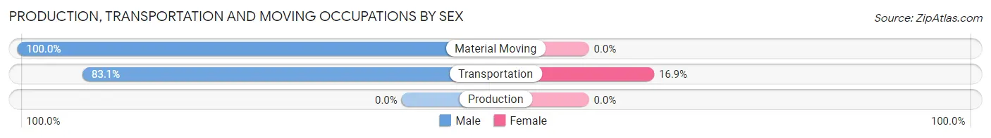 Production, Transportation and Moving Occupations by Sex in Belle Isle