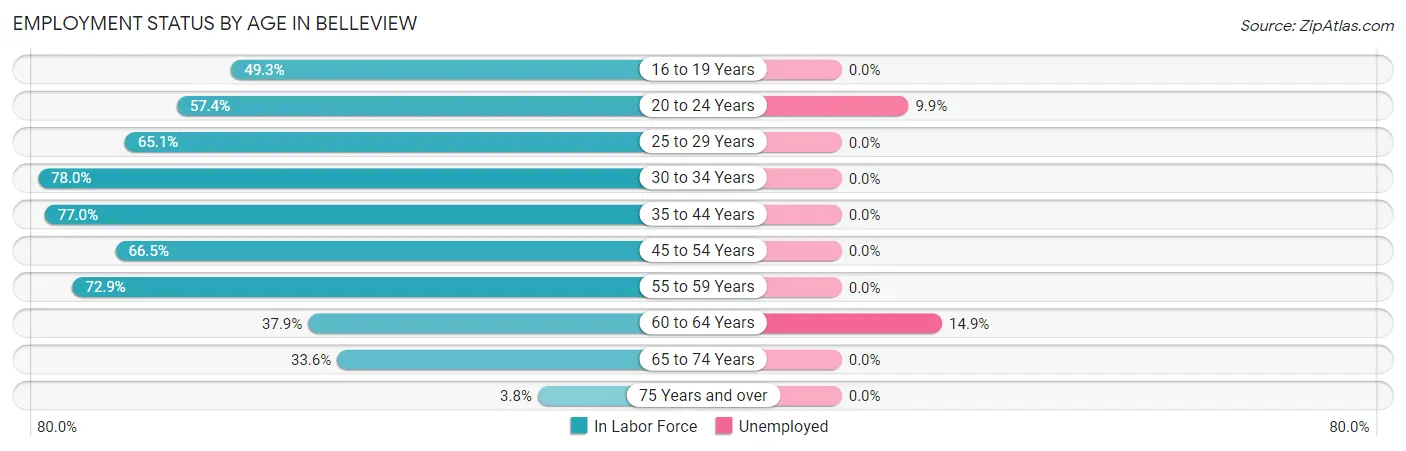 Employment Status by Age in Belleview