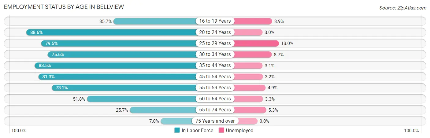 Employment Status by Age in Bellview
