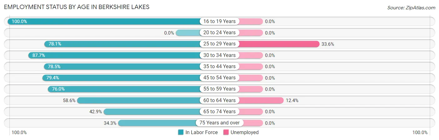 Employment Status by Age in Berkshire Lakes