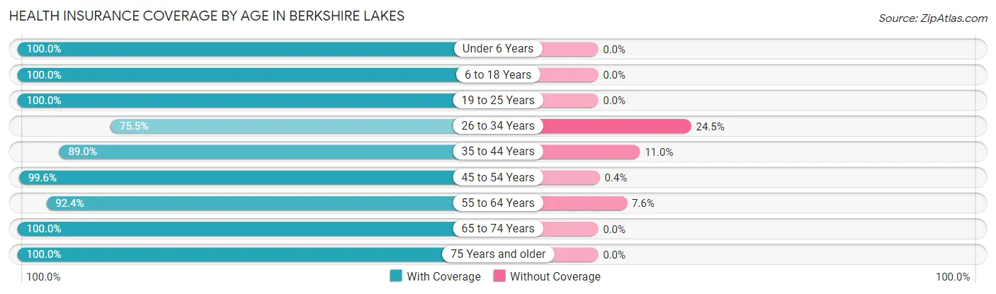 Health Insurance Coverage by Age in Berkshire Lakes