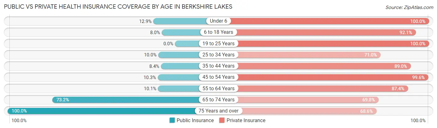 Public vs Private Health Insurance Coverage by Age in Berkshire Lakes