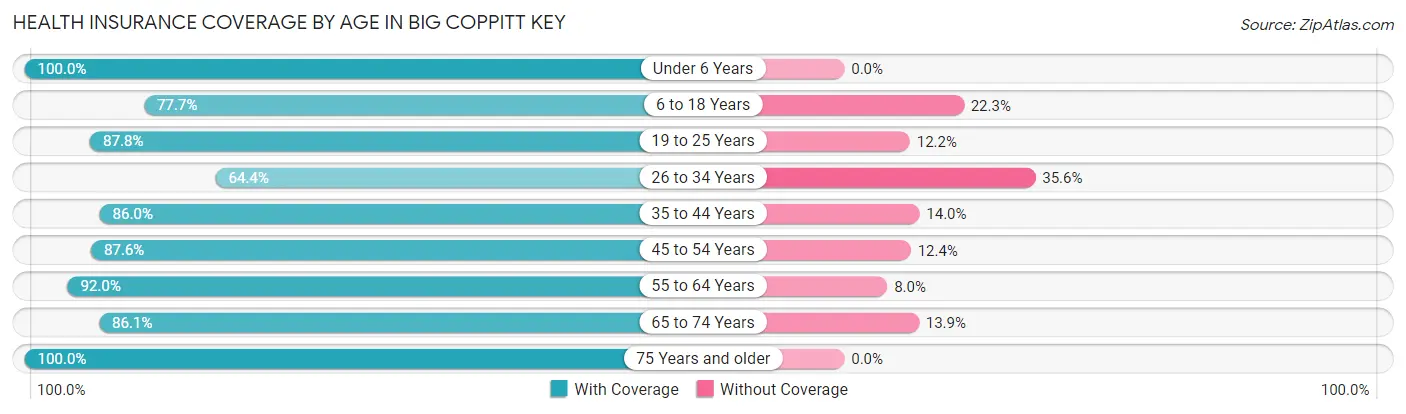 Health Insurance Coverage by Age in Big Coppitt Key
