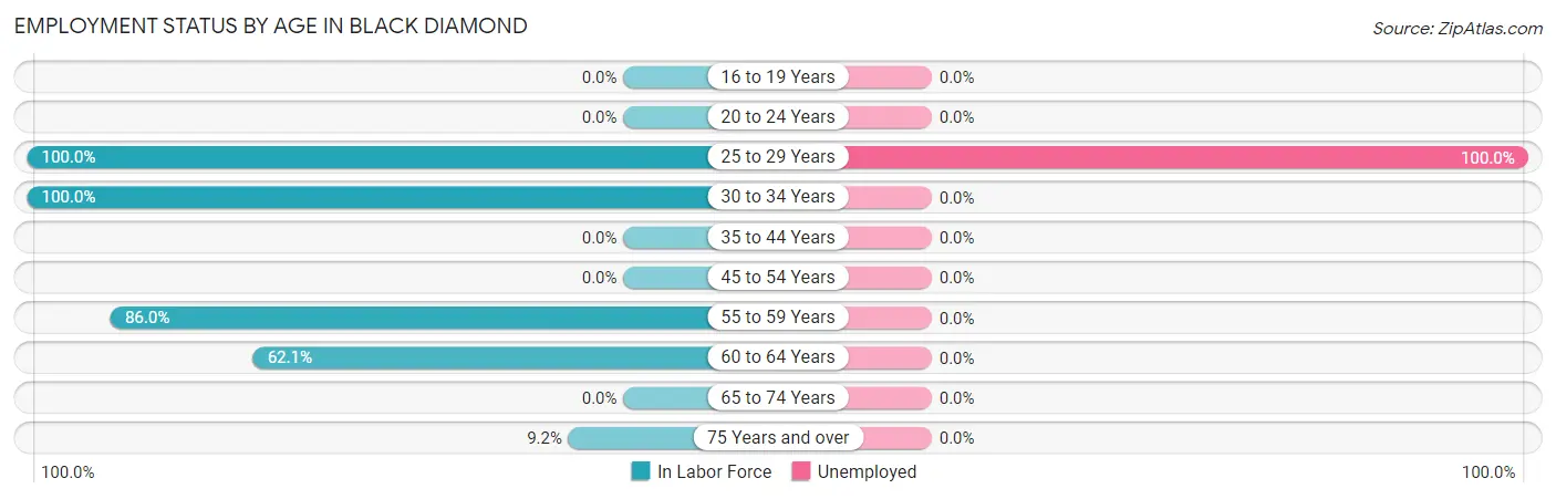 Employment Status by Age in Black Diamond