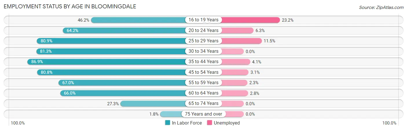 Employment Status by Age in Bloomingdale