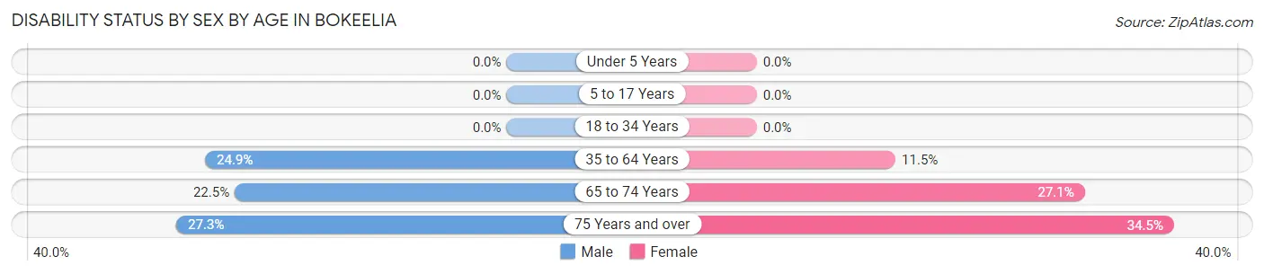 Disability Status by Sex by Age in Bokeelia
