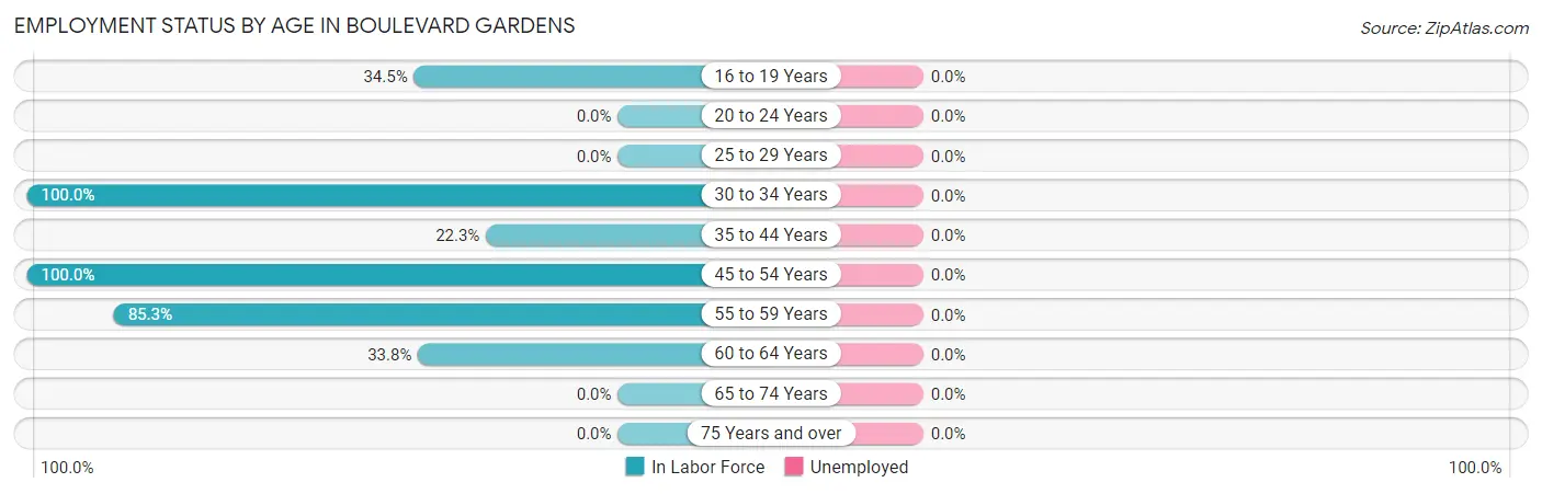 Employment Status by Age in Boulevard Gardens
