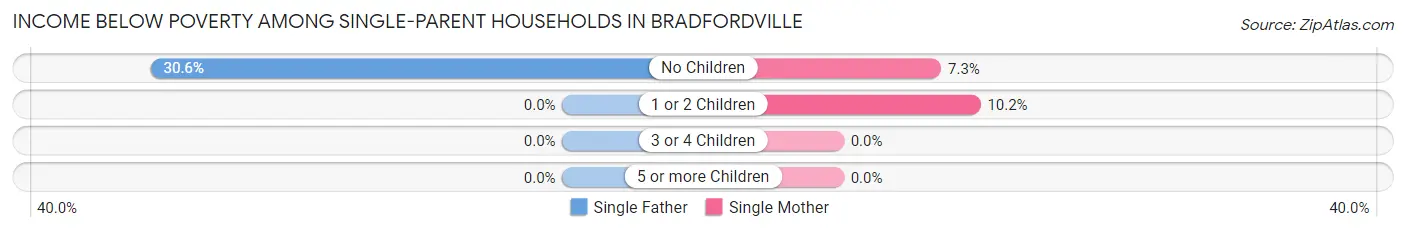 Income Below Poverty Among Single-Parent Households in Bradfordville