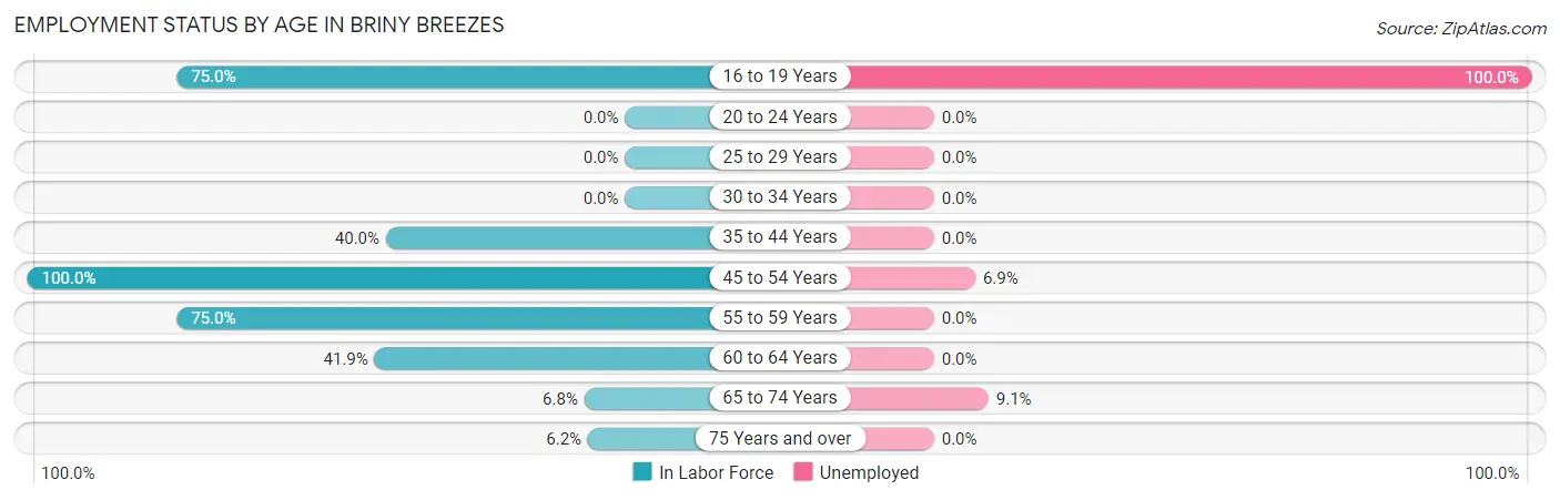 Employment Status by Age in Briny Breezes