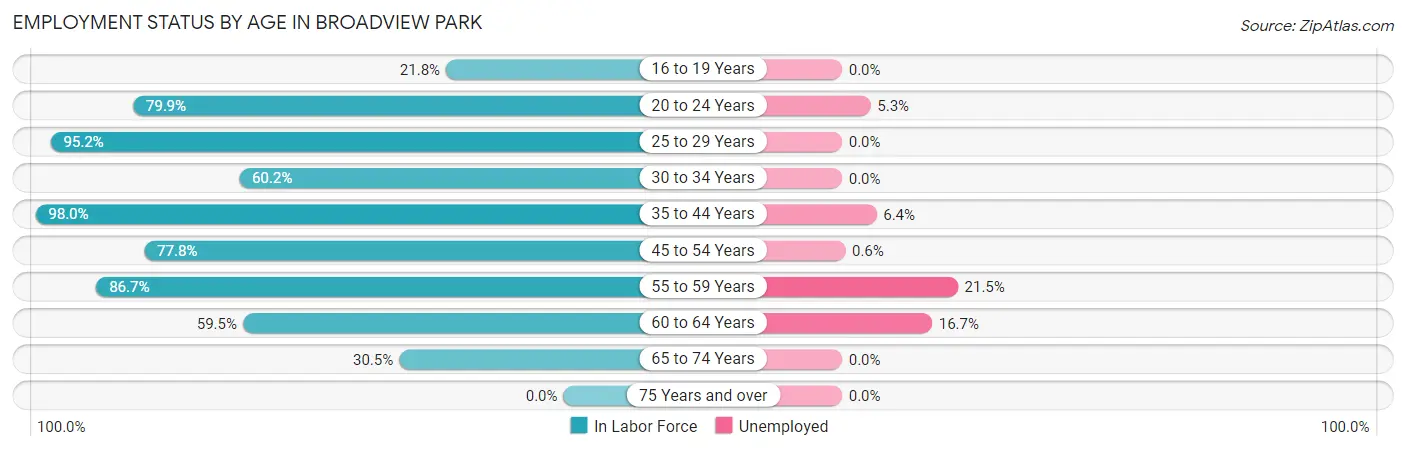 Employment Status by Age in Broadview Park