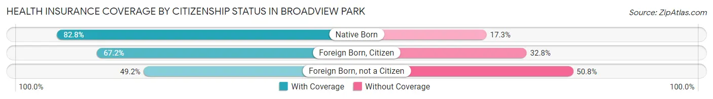 Health Insurance Coverage by Citizenship Status in Broadview Park