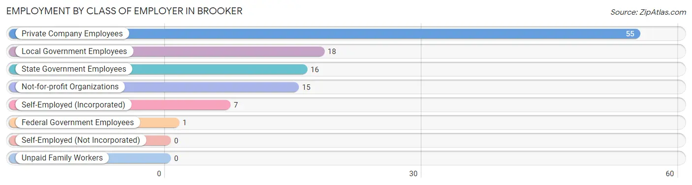 Employment by Class of Employer in Brooker