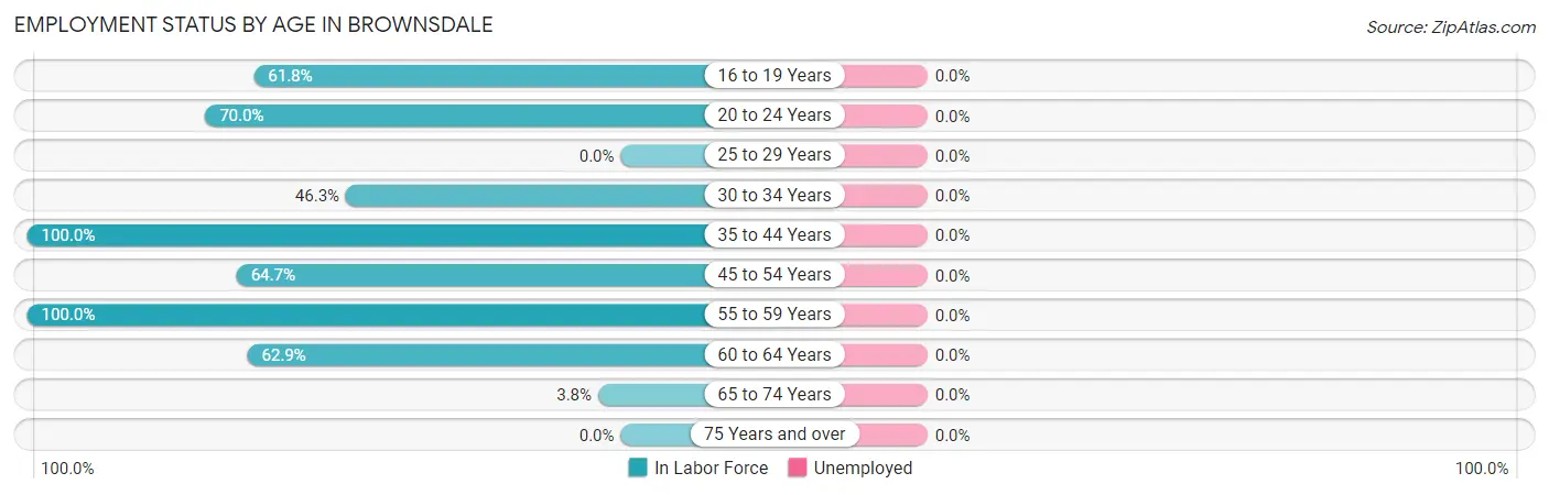 Employment Status by Age in Brownsdale