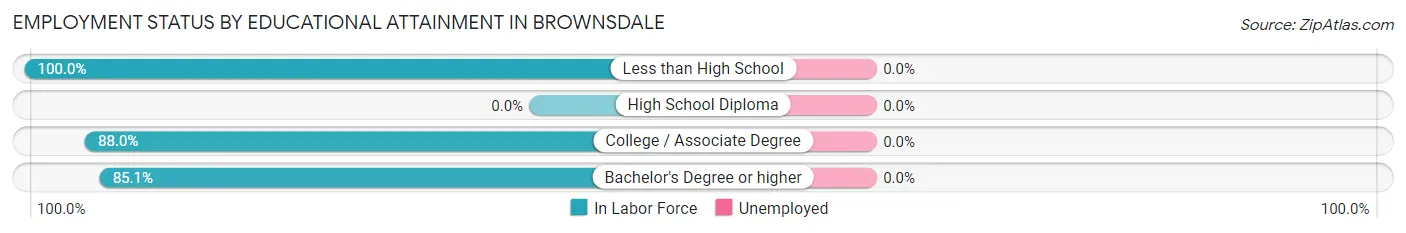 Employment Status by Educational Attainment in Brownsdale
