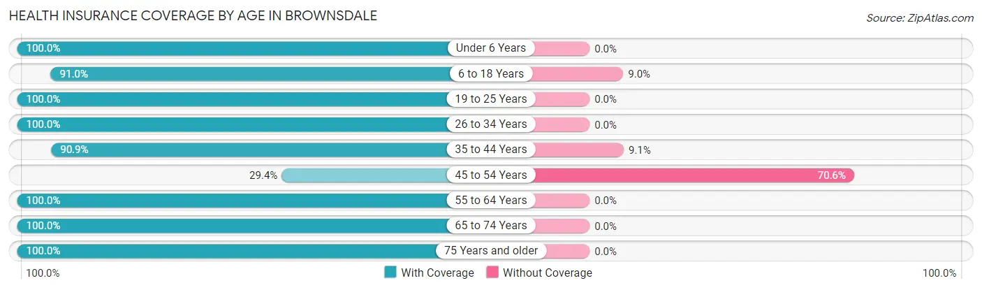 Health Insurance Coverage by Age in Brownsdale