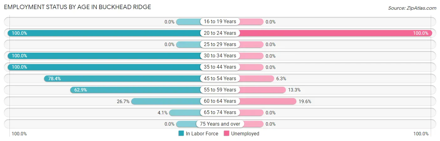 Employment Status by Age in Buckhead Ridge