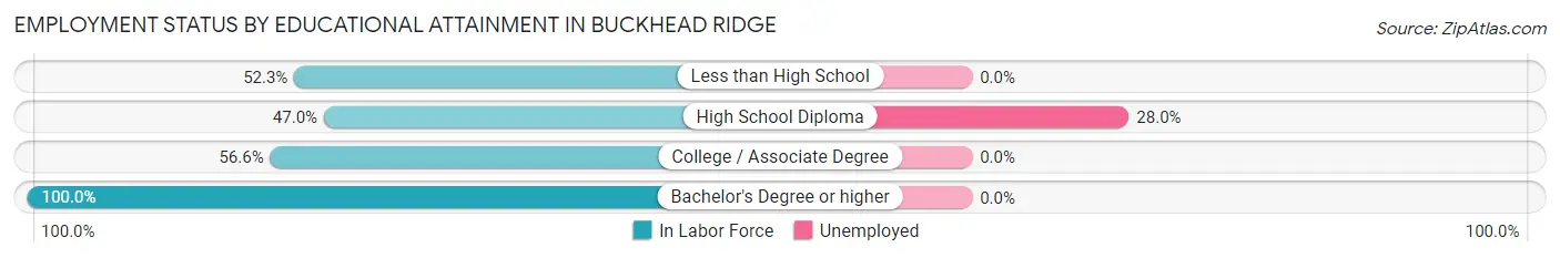 Employment Status by Educational Attainment in Buckhead Ridge