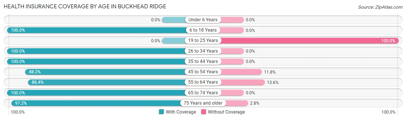 Health Insurance Coverage by Age in Buckhead Ridge