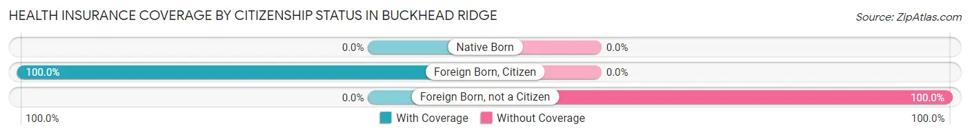 Health Insurance Coverage by Citizenship Status in Buckhead Ridge
