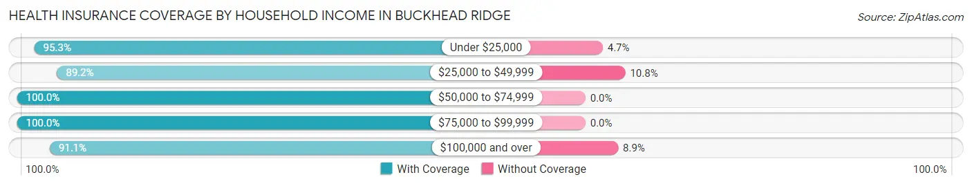 Health Insurance Coverage by Household Income in Buckhead Ridge