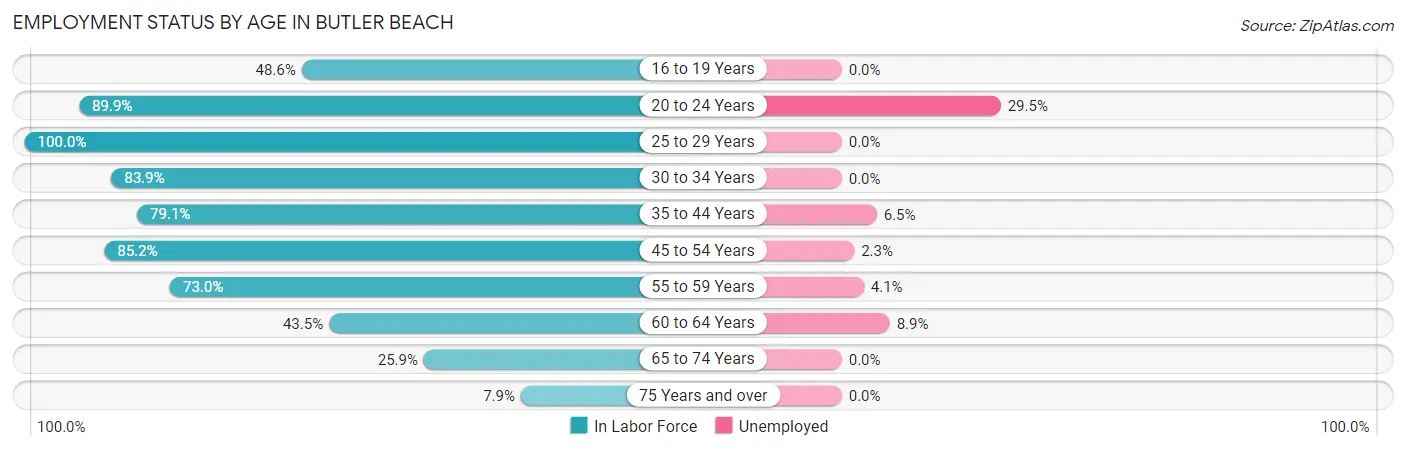 Employment Status by Age in Butler Beach