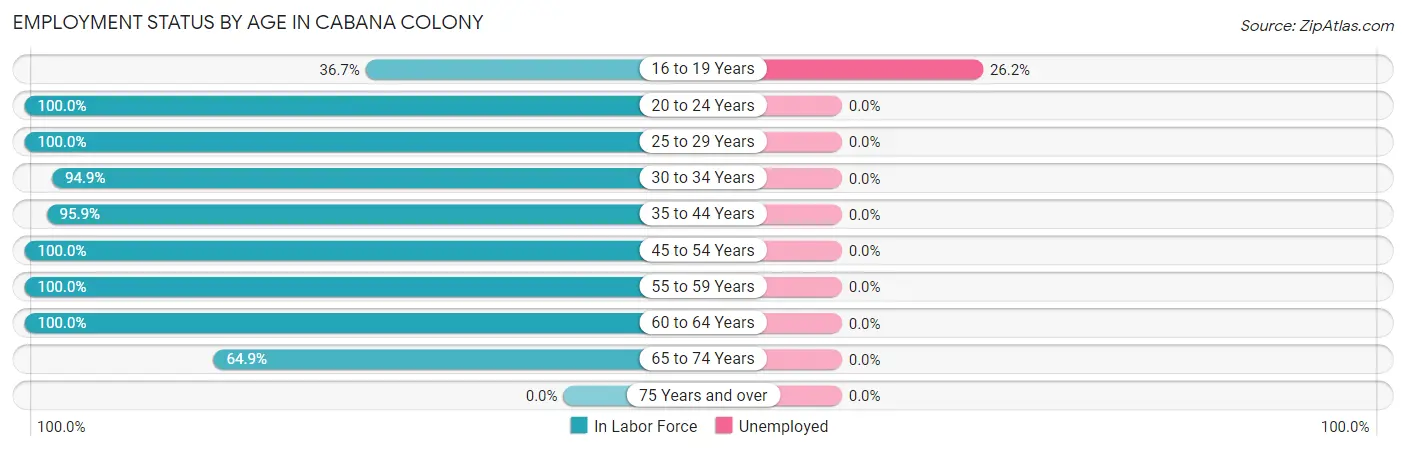 Employment Status by Age in Cabana Colony
