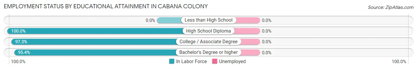 Employment Status by Educational Attainment in Cabana Colony