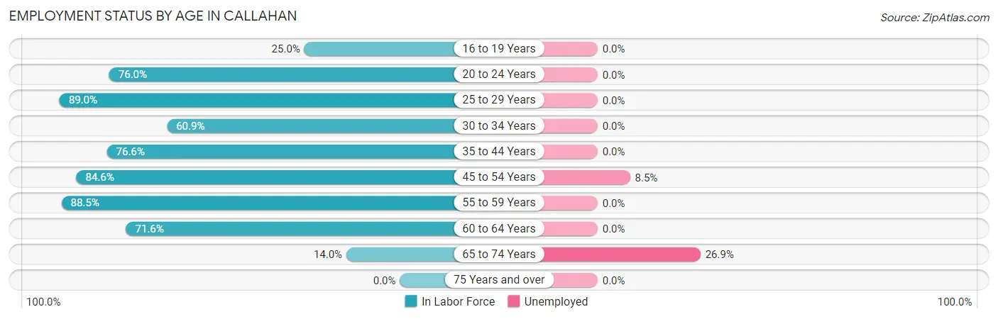 Employment Status by Age in Callahan