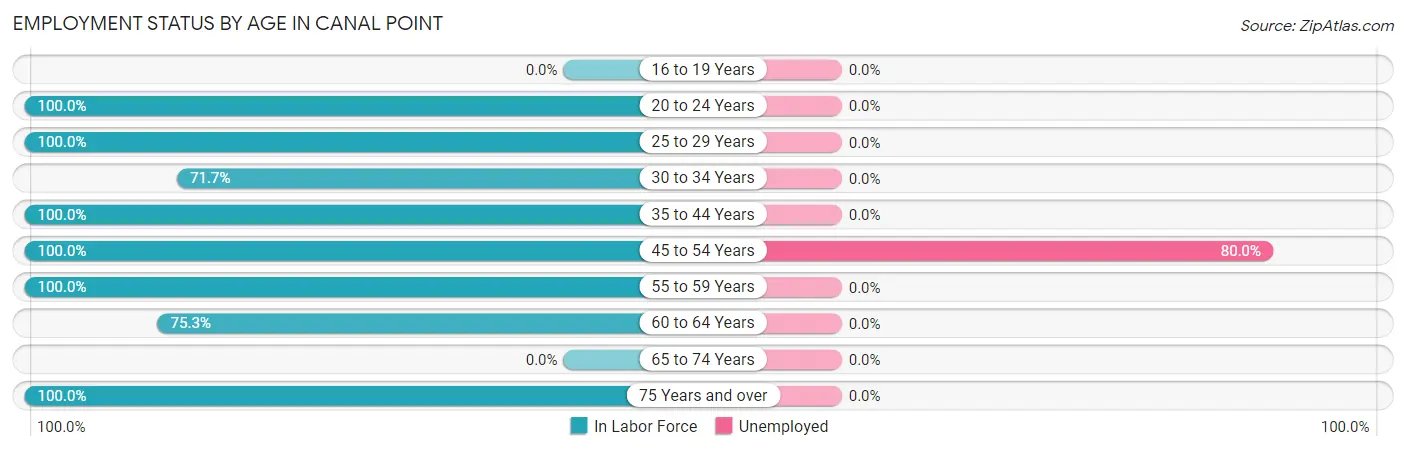 Employment Status by Age in Canal Point