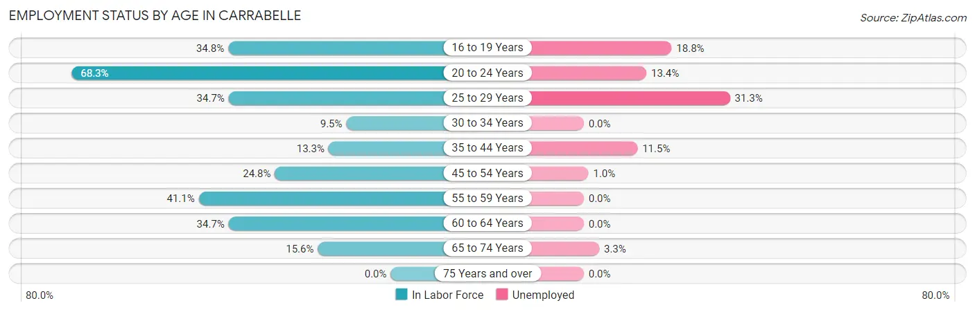 Employment Status by Age in Carrabelle