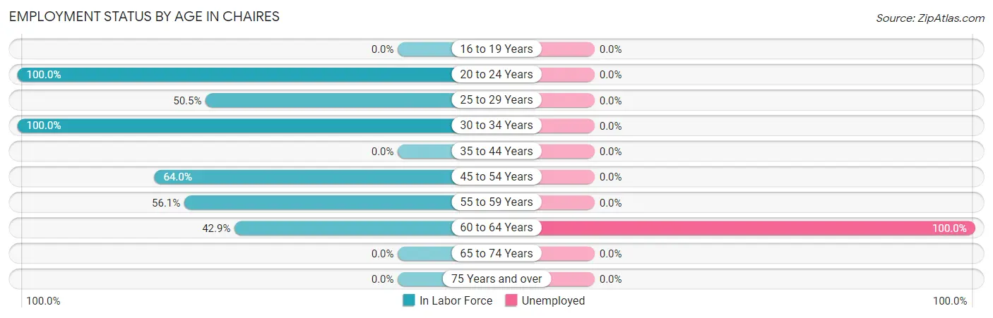 Employment Status by Age in Chaires