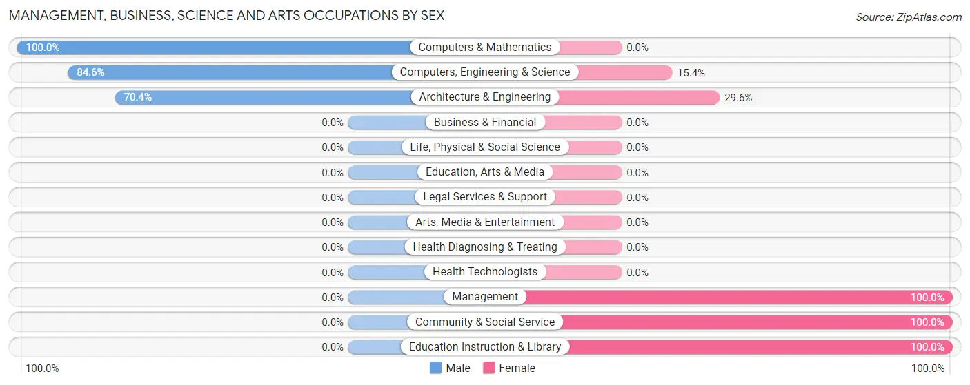 Management, Business, Science and Arts Occupations by Sex in Chaires