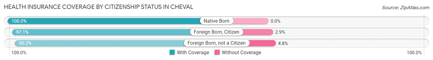 Health Insurance Coverage by Citizenship Status in Cheval