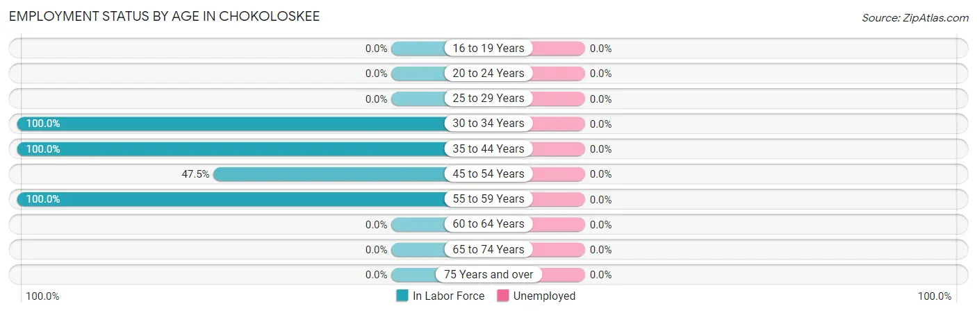 Employment Status by Age in Chokoloskee