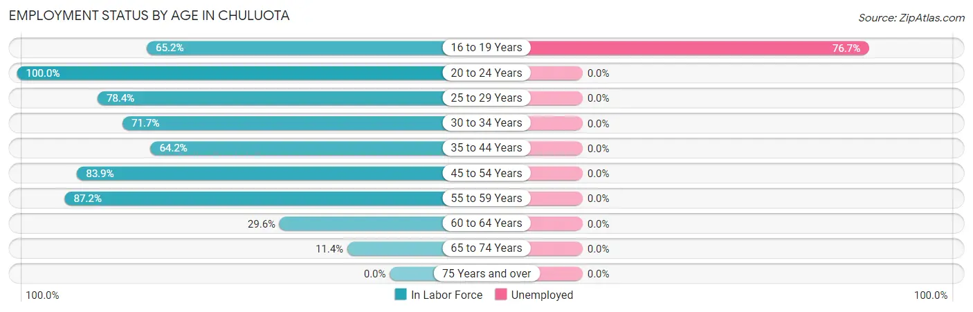Employment Status by Age in Chuluota