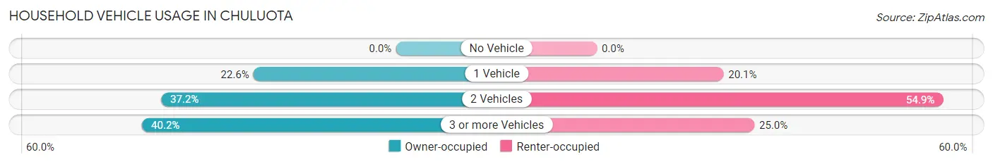 Household Vehicle Usage in Chuluota
