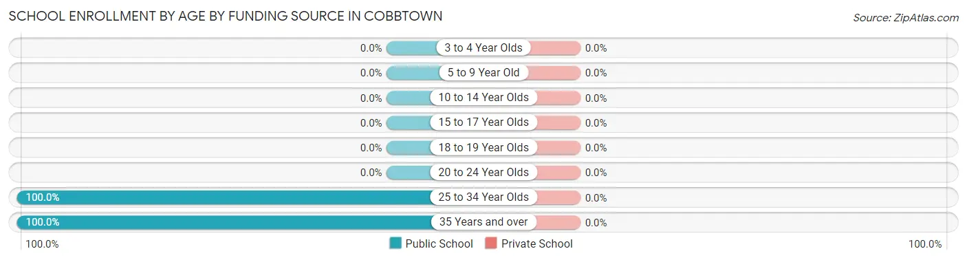School Enrollment by Age by Funding Source in Cobbtown