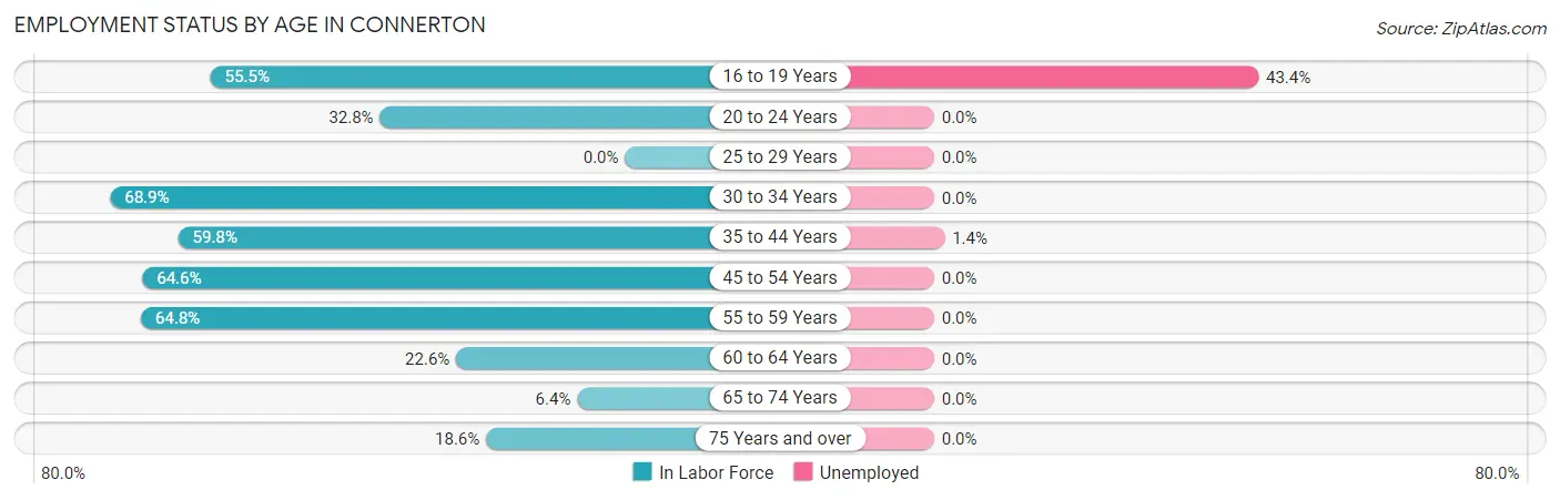 Employment Status by Age in Connerton