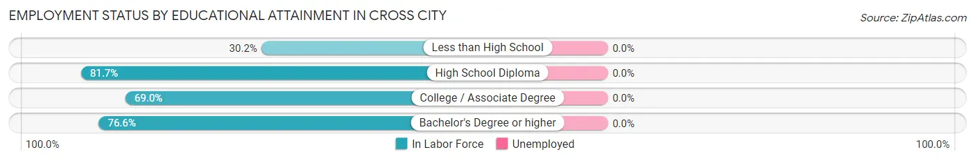 Employment Status by Educational Attainment in Cross City