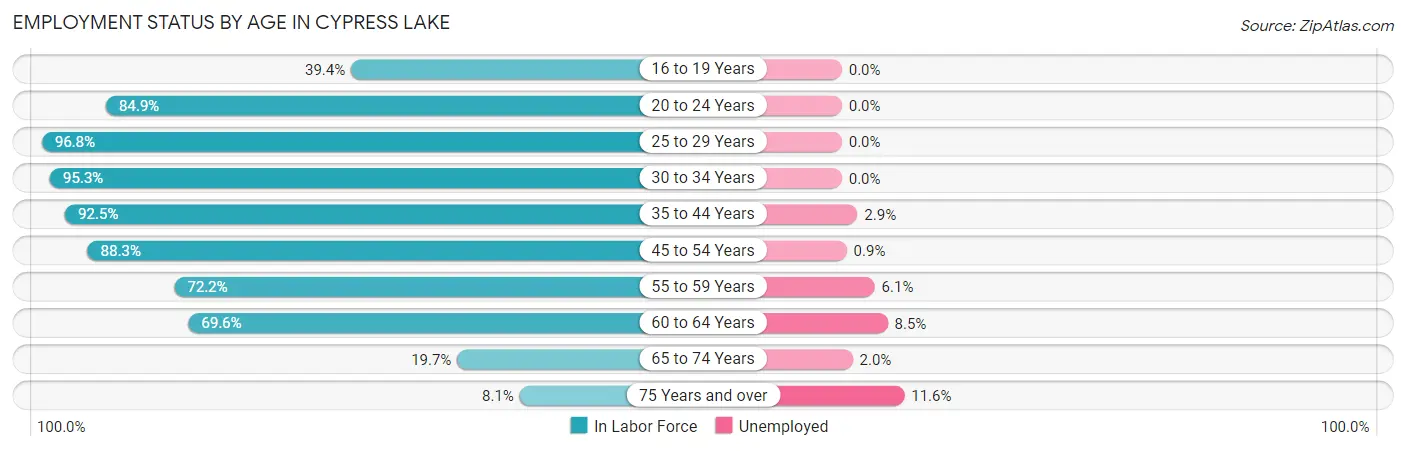Employment Status by Age in Cypress Lake