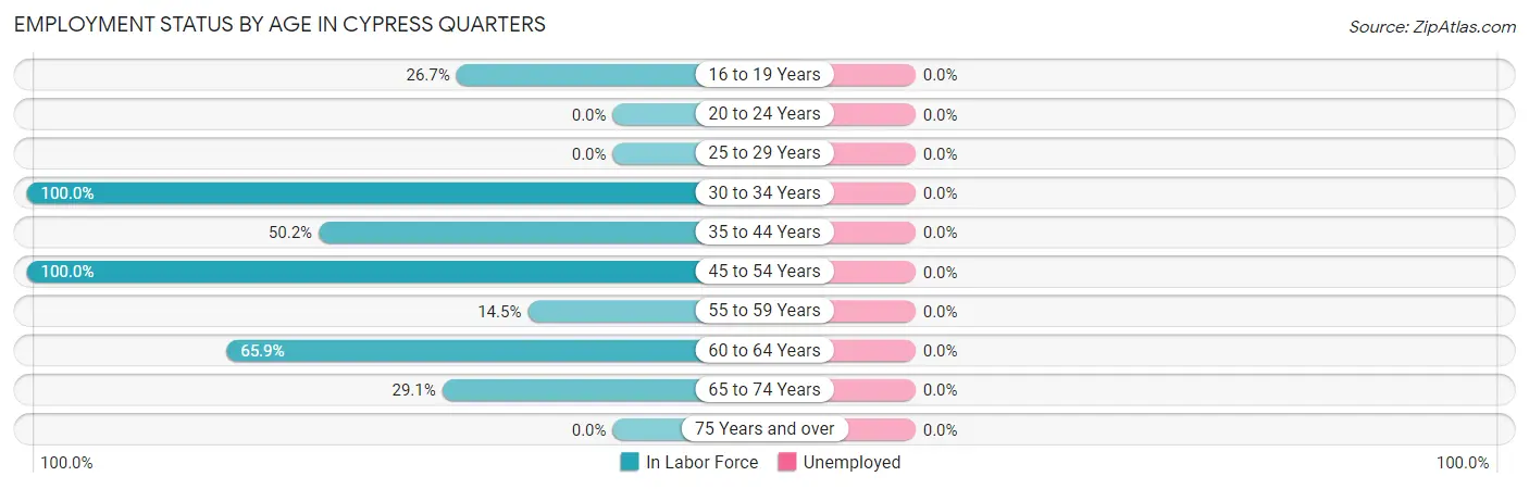 Employment Status by Age in Cypress Quarters