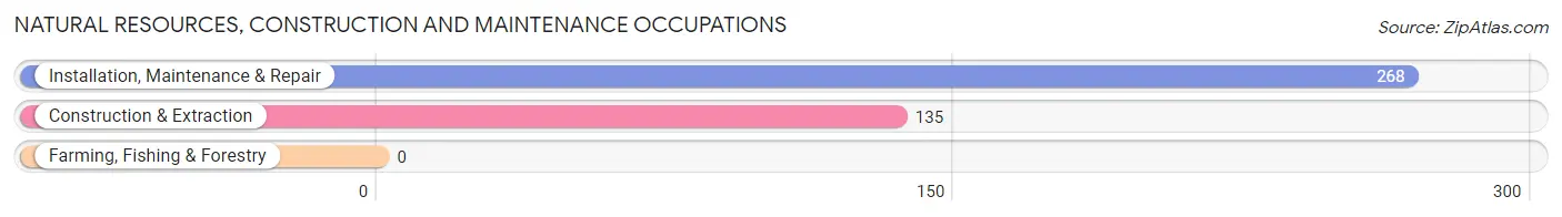 Natural Resources, Construction and Maintenance Occupations in Davenport