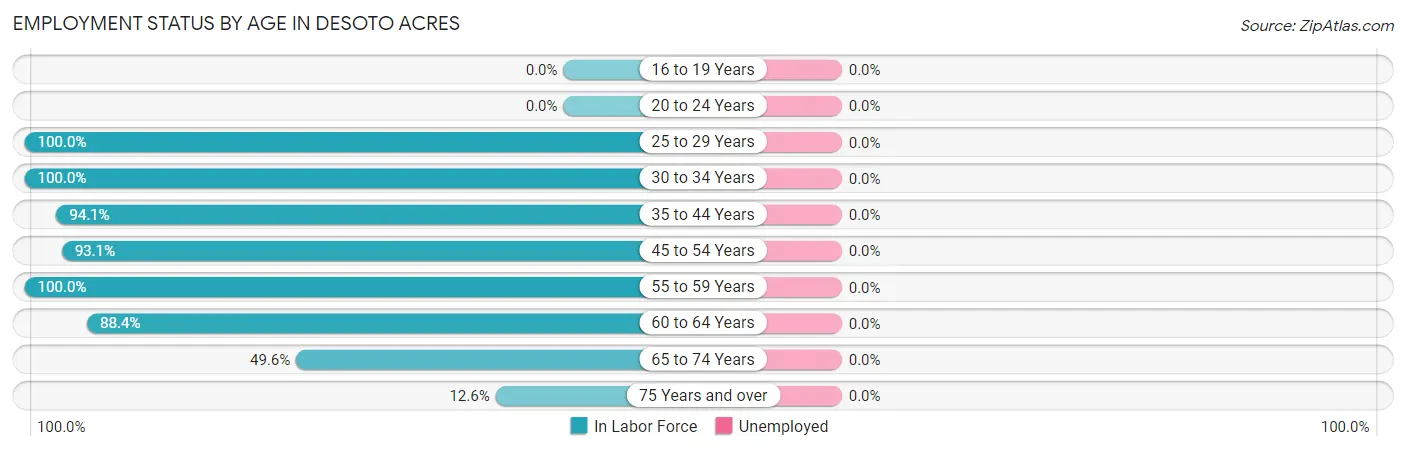 Employment Status by Age in Desoto Acres