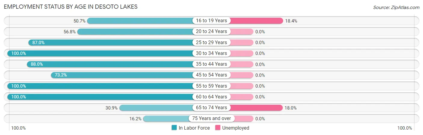 Employment Status by Age in Desoto Lakes
