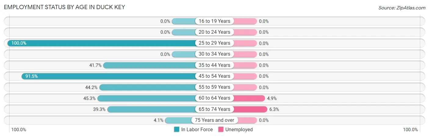 Employment Status by Age in Duck Key