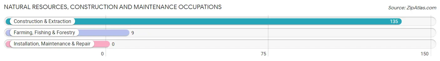 Natural Resources, Construction and Maintenance Occupations in East Palatka