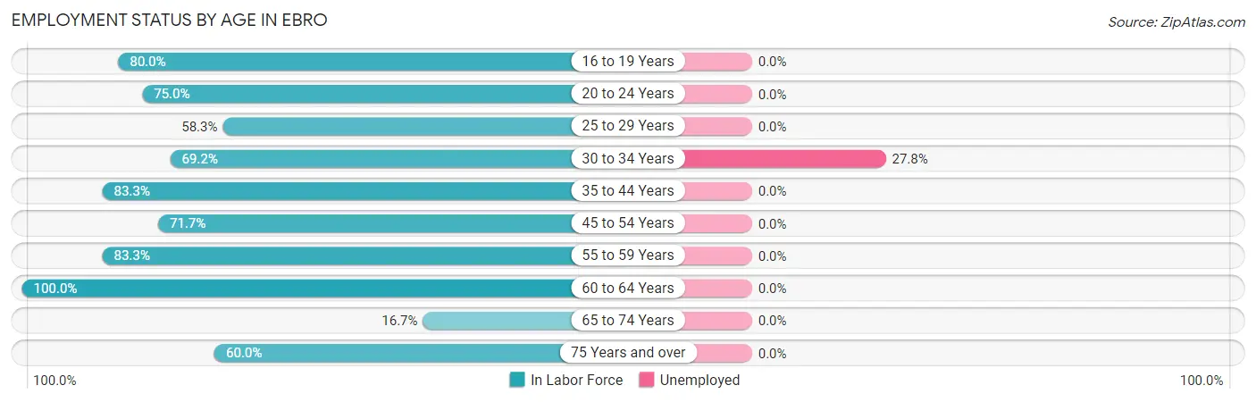 Employment Status by Age in Ebro